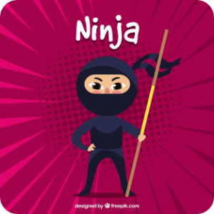 ninja 2